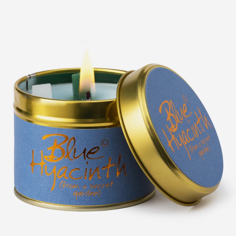 Blue Hyacinth Lily-Flame