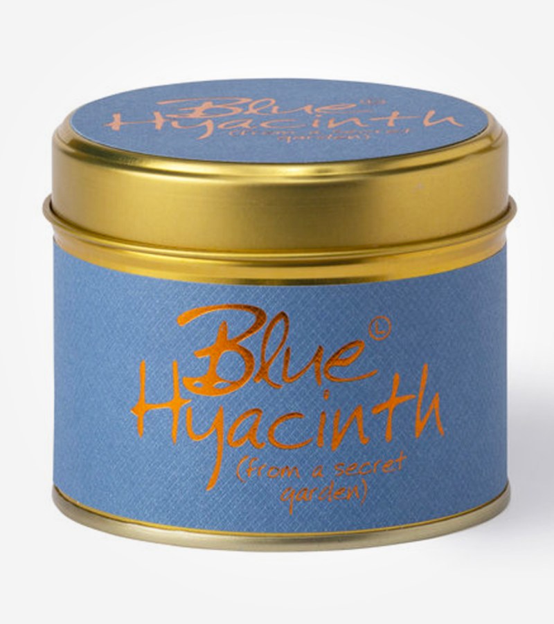 Blue Hyacinth Lily-Flame