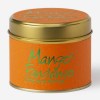 Mango Fandango Lily-Flame