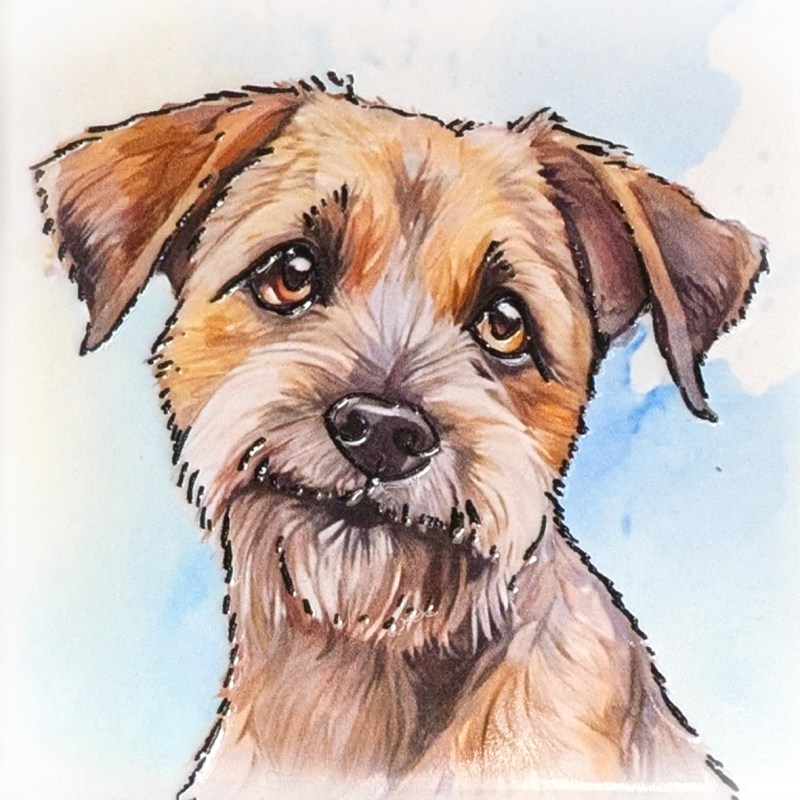 Border Terrier ceramistone coasters