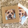 Border Terrier ceramistone coasters