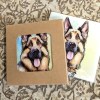 German Shepherd ceramistone coasters