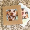 Golden Labrador ceramistone coasters