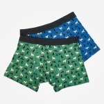 Eco Chic Men's Labrador Bamboo Boxers