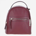 Small Ashwood Leather Backpack Wine