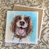 Springer Spaniel ceramistone coasters