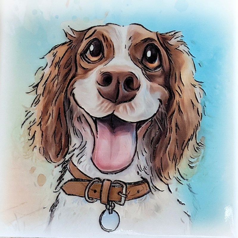 Springer Spaniel ceramistone coasters