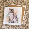 Tabby cat ceramistone coasters