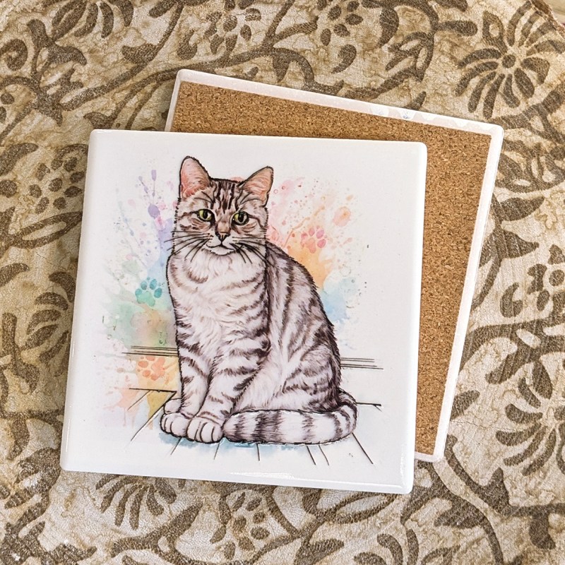 Tabby cat ceramistone coasters